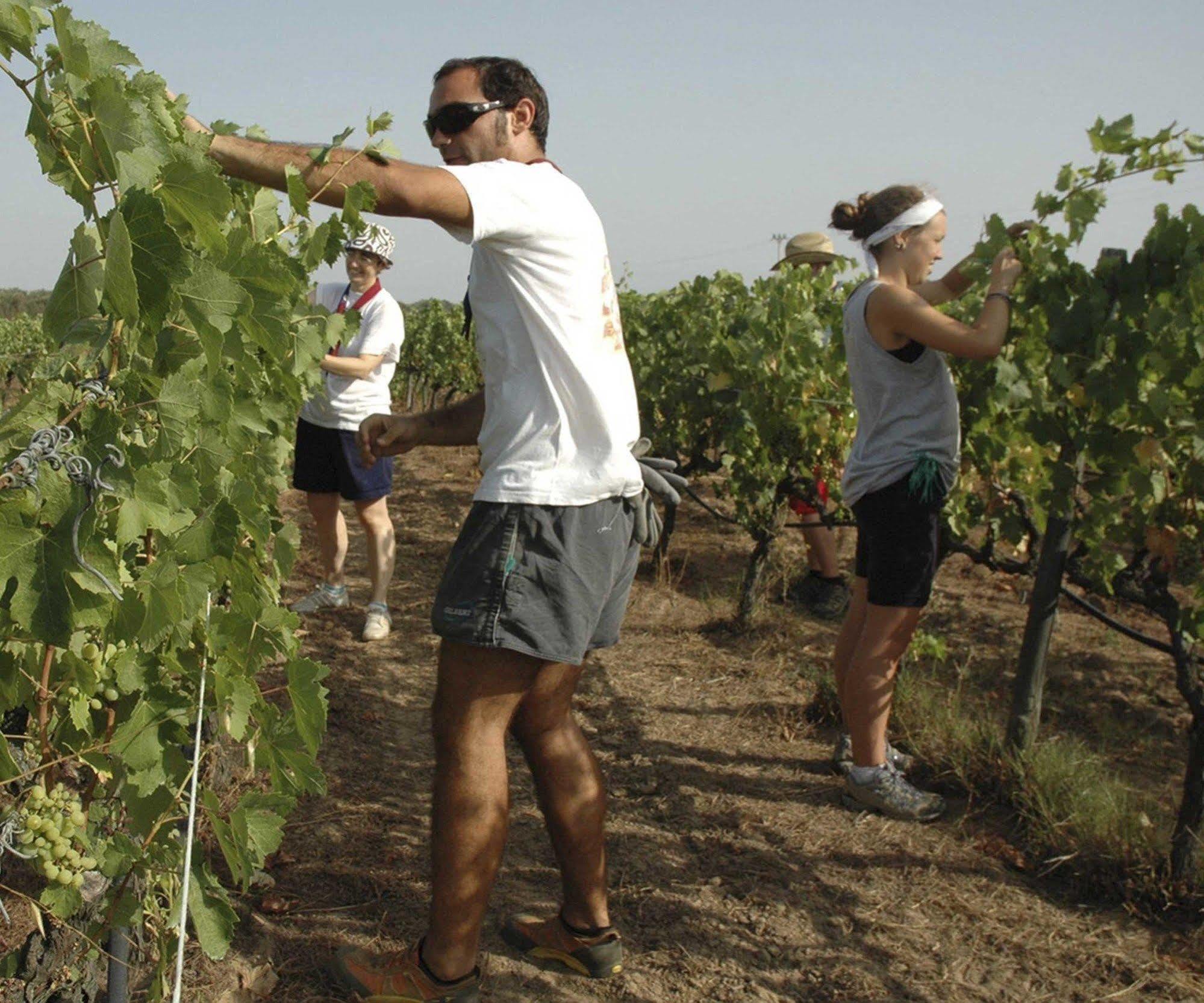 Agriturismo Borgo Dell'Aschetto Marina di Cerveteri Dış mekan fotoğraf